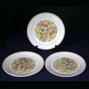 Four Vintage Corningware Corelle Indian Summer Dinner Plates
